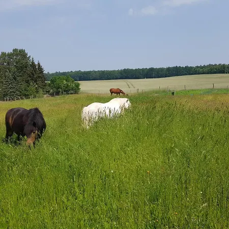 Am Reiterhof * Templin