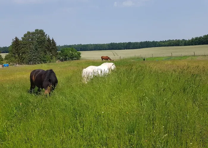 Am Reiterhof * テンプリーン